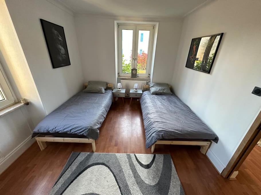 Magnifique Appartement F3. 4 A 6 Personnes Lutterbach Extérieur photo