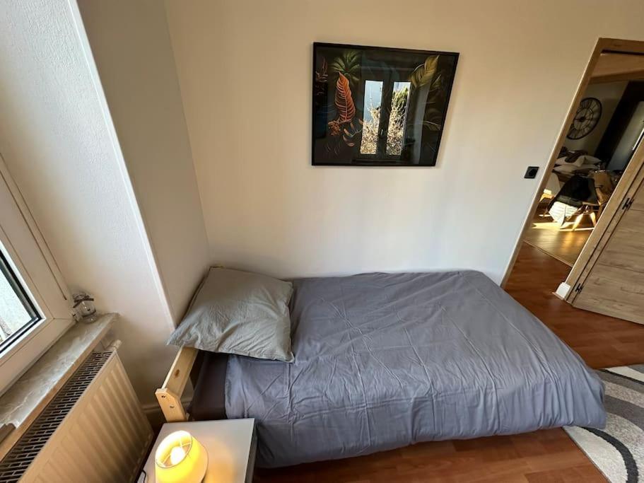 Magnifique Appartement F3. 4 A 6 Personnes Lutterbach Extérieur photo